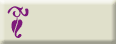 Census Bureau
